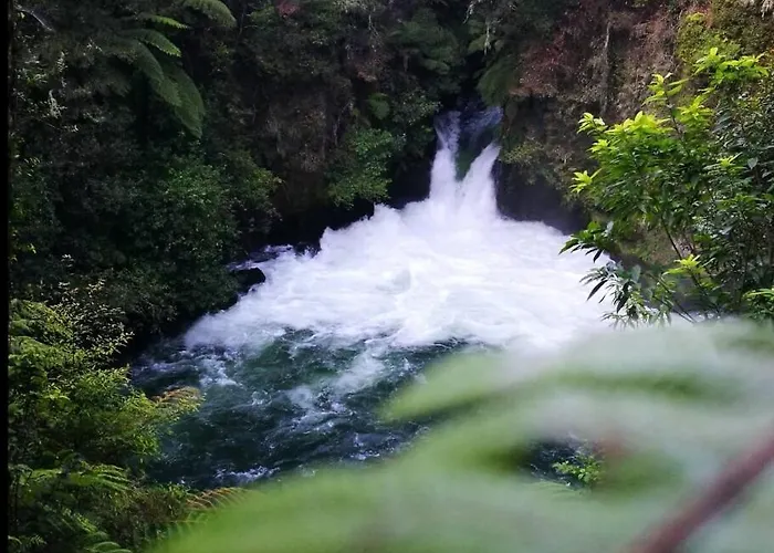 Kowhai - Bath Walk To Okere Falls * Rotorua
