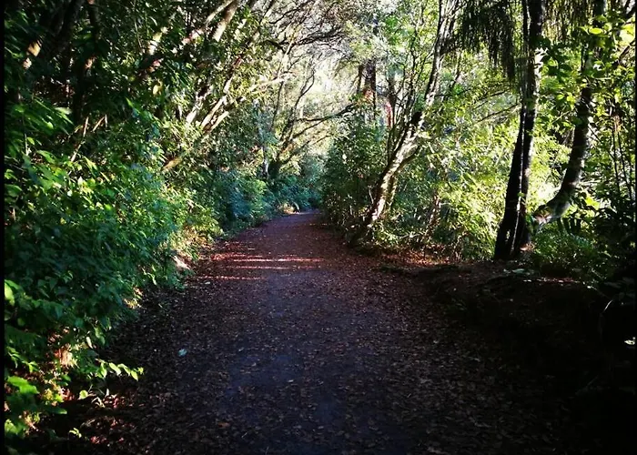 Kowhai - Bath Walk To Okere Falls Ferienhaus